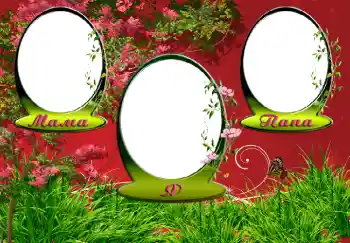 Фотоефект от категория С роднини № 5361