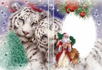 Фотоефект от категория DVD обложки № 4463. Надпис на рамката: Нова година