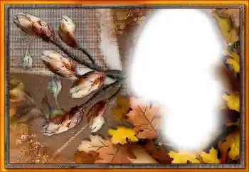 Фотоефект от категория Различни № 205533