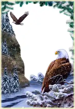 Фотоефект от категория Различни № 205592