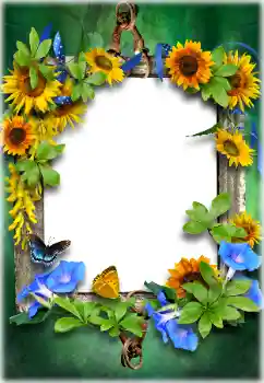 Фотоефект от категория Различни № 205611