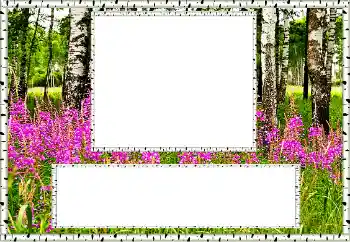 Фотоефект от категория Лято № 131011