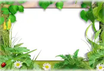Фотоефект от категория Лято № 138647