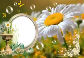 Фотоефект от категория Лято № 153157