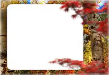 Фотоефект от категория Есен № 127331