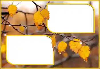 Фотоефект от категория Есен № 145075