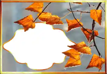 Фотоефект от категория Есен № 145079