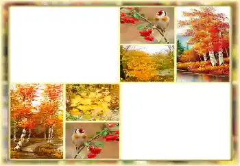 Фотоефект от категория Есен № 160654