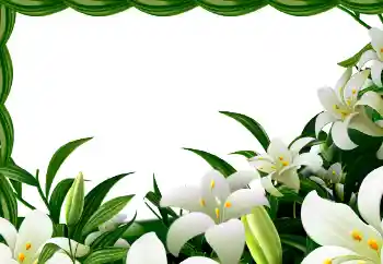 Фотоефект от категория Пролет № 113129