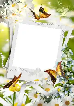 Фотоефект от категория Пролет № 4611