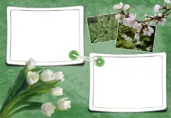 Фотоефект от категория Пролет № 93095