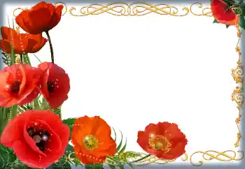 Фотоефект от категория Дамски фоторамки № 205838
