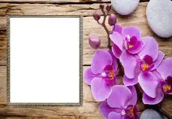 Фотоефект от категория Дамски фоторамки № 206185