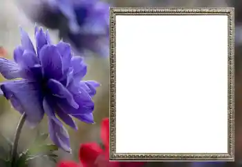 Фотоефект от категория Дамски фоторамки № 206189