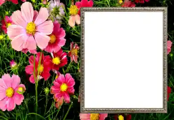 Фотоефект от категория Дамски фоторамки № 206194